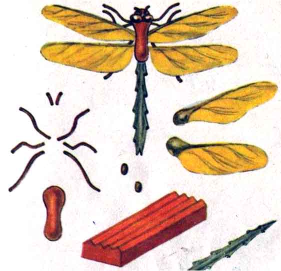 Поделки из семян ясеня и клена - Стрекоза 